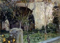 Capri. Almond Tree in Bloom