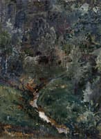 The Ravine