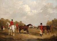 The Meet