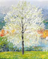 Tree in Blossom