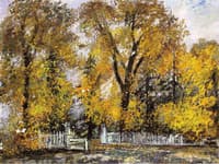 Autumn Landscape