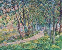 Forest Path