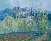 Almond Trees, Mallorca