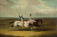 Two Racehorses – 'Grey Momus' and 'Caravan' – Racing