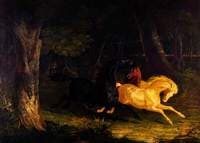 Wild Horses