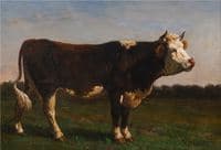 King of the Herd