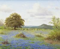 Countryside with Blue Bonnets