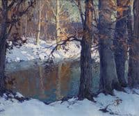 Winter Splendor