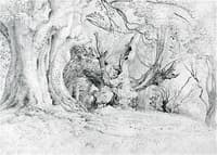 Ancient Trees, Lullingstone