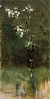 Tree in Blossom