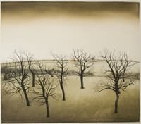Blue sky - yellow landscape, trees without leaves, small house