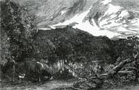 The Weary Ploughman