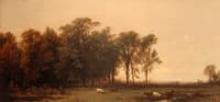 Genesee River Scenery