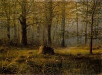 Wooded Grove