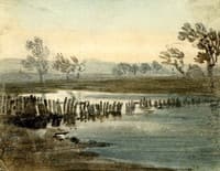 Fields in Flood