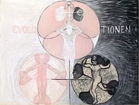 Evolution, No. 02, Group VI