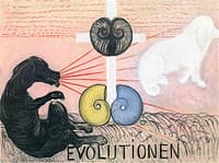 Evolution, No. 05, Group VI