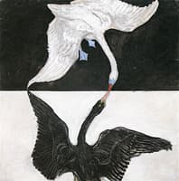 The Swan, No. 01, Group IX/SUW