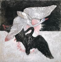 The Swan, No. 02, Group IX/SUW