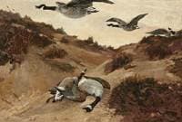 Wild Geese in Flight