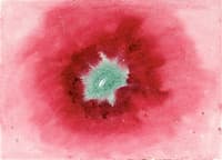 On the Viewing of Flowers and Trees: Untitled