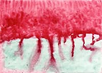 On the Viewing of Flowers and Trees: Untitled