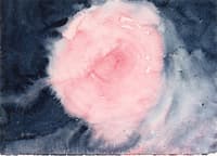 On the Viewing of Flowers and Trees: Untitled