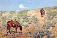 Stalking Antelope