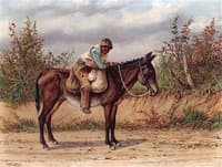 Young Boy on a Mule