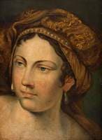 Portrait of an Unknown Lady