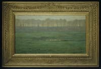 Dawn - Early Spring