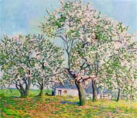 Spring Blossoms