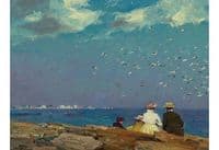 Seagulls