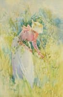 Picking Wildflowers