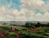 Fields in Surrey
