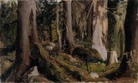 Forest, study