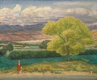 The Yellow Cottonwood