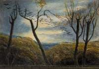 The Many-Wintered Crow