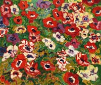 Flower Bed, Anemones
