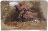 Knole Park