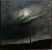 Moonlit night over Dresden