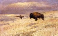 The Last of the Herd