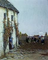 Potato Harvest