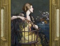 The Black Mantilla