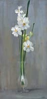 Narcissi