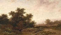 Open Landscape in the Evening Light