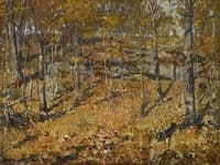 Autumn Woods