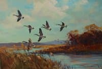 Geese in Flight