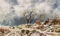Winter Landscape