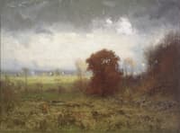 Clearing, November